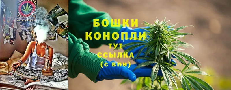 Бошки Шишки THC 21%  мориарти формула  Дмитровск 